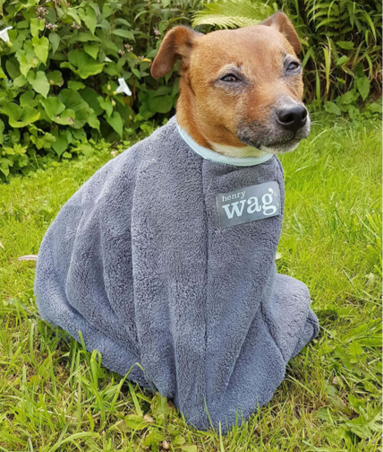 Henry Wag Drying Bag