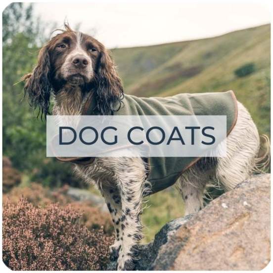 dog coats