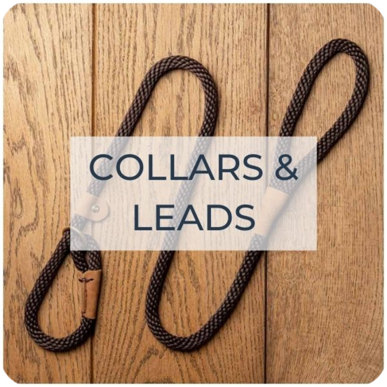 collars and leads