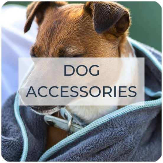 dog accessories