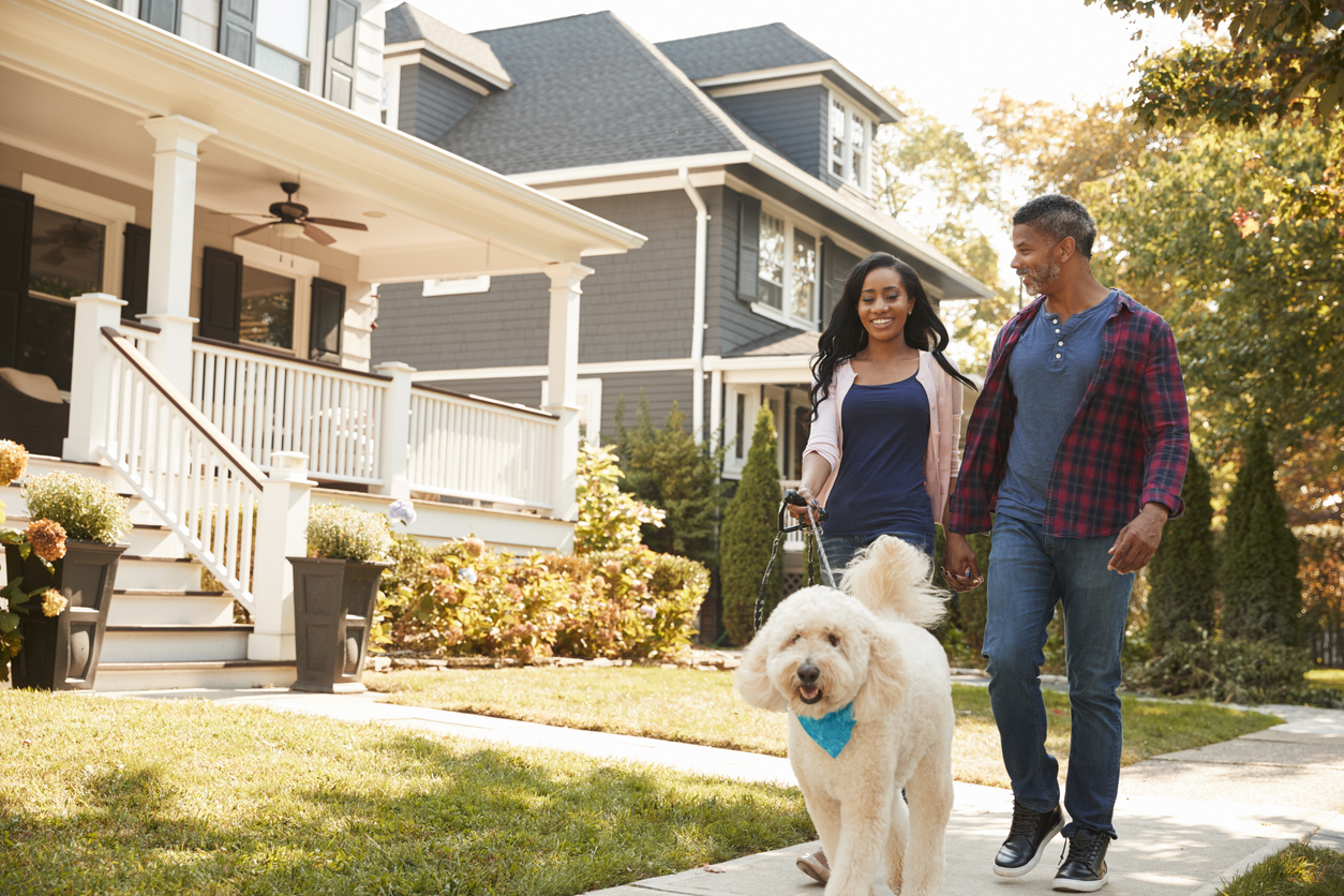 Happy couple walking their labradoodle in a neighborhood