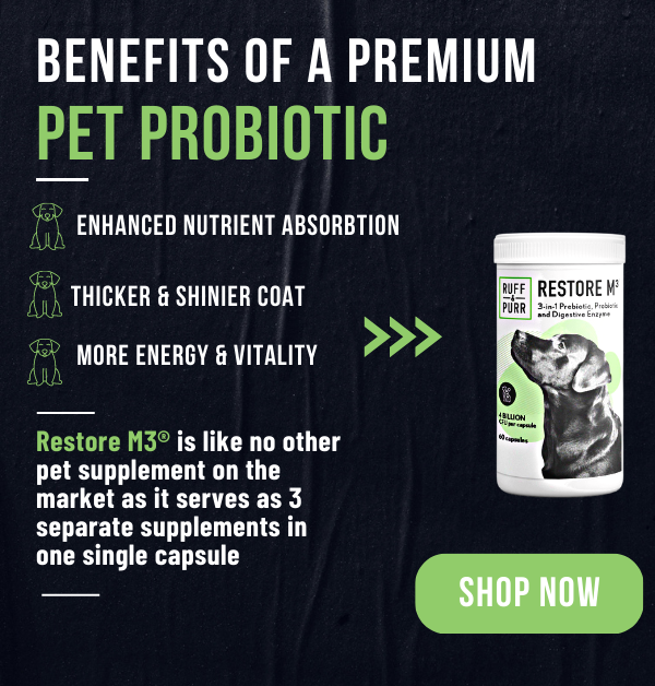 Product benefits Restore M3 Pet Probiotic