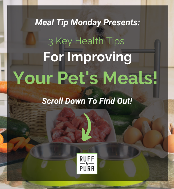 3 Key Health Tips For Improving Your Pet's Meals!