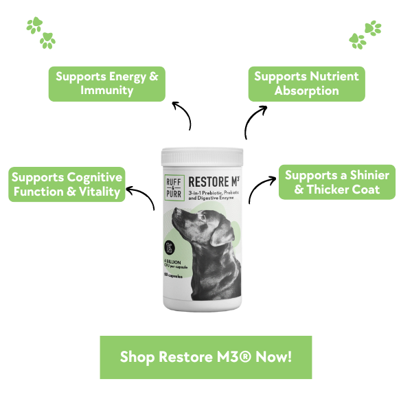 image of restore M3 probiotic, prebiotic and digestive enzyme for pets