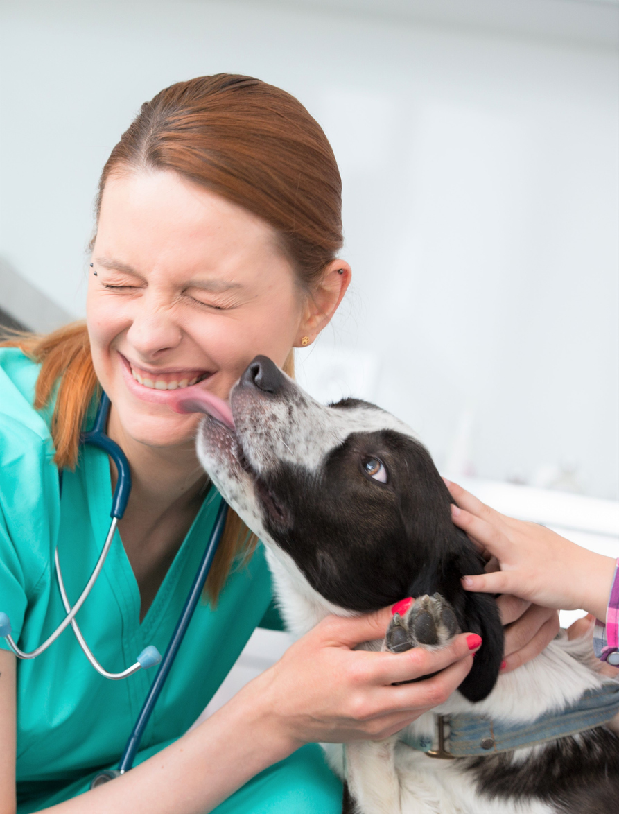 dog licking the face of a young vet