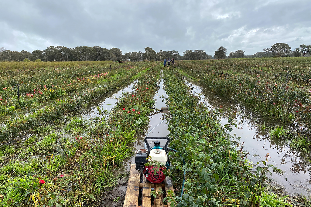 Floods in the field