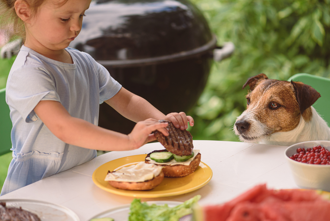 Little girl preparing her burger with a Jack Russell Terrier wathcing her