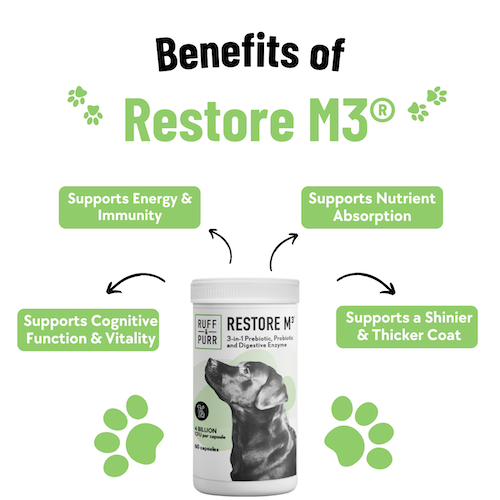 Image displaying the benefits of restore M3 pet probiotic