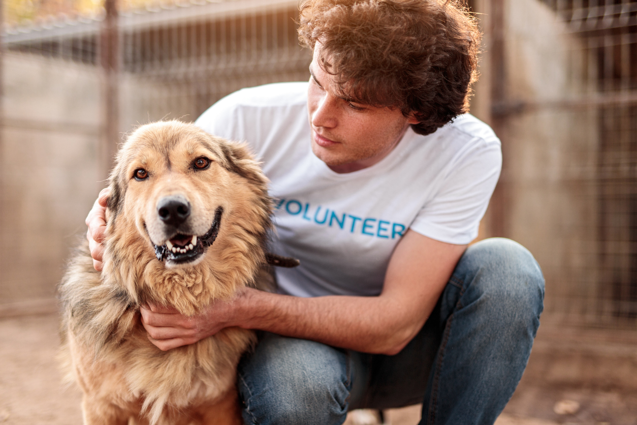 Man with volunteer shirt on kneeling down to love on a retriever mix dog