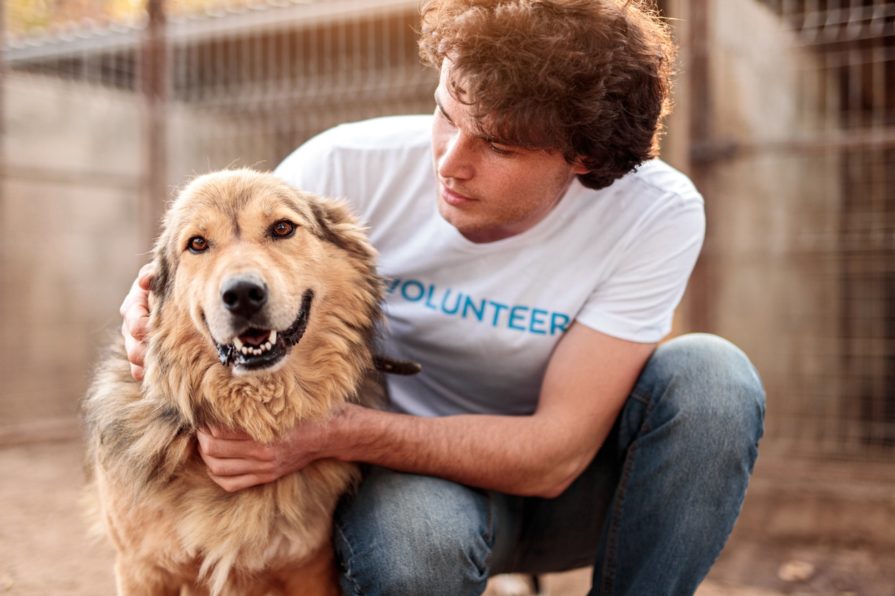 Image of young man with medium aged dog at a dog rescue