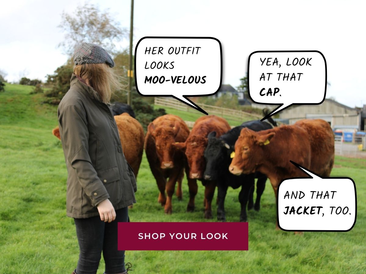 woman in shooting jacket and tweed cap looking back to a herd of cows.