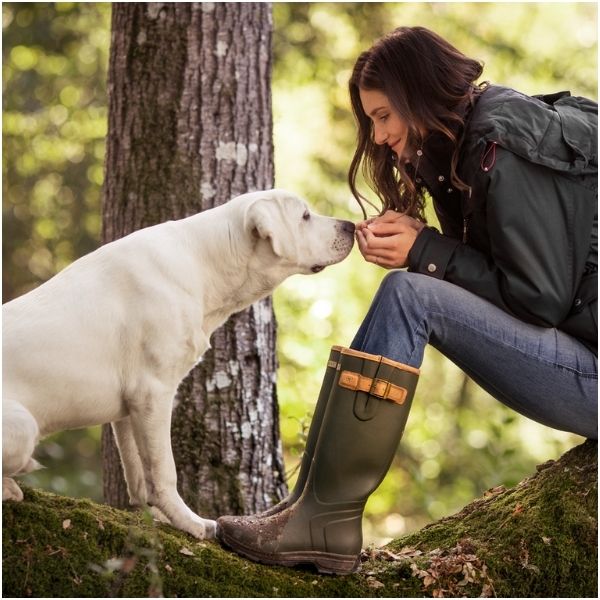 Shop dog walking