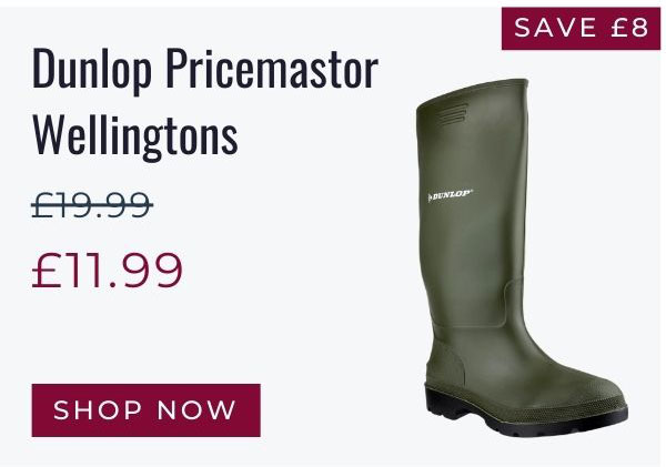 Dunlop Pricemastor Wellingtons