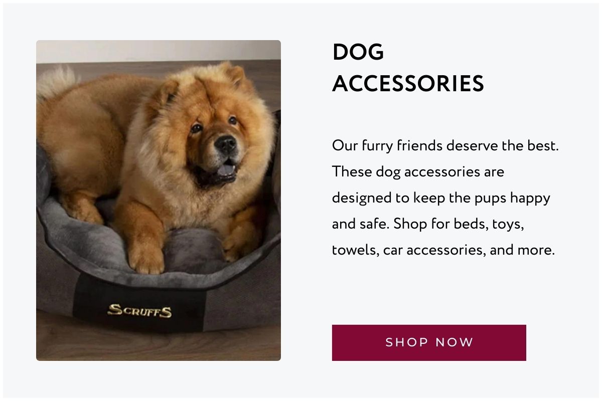 Dog Accessories