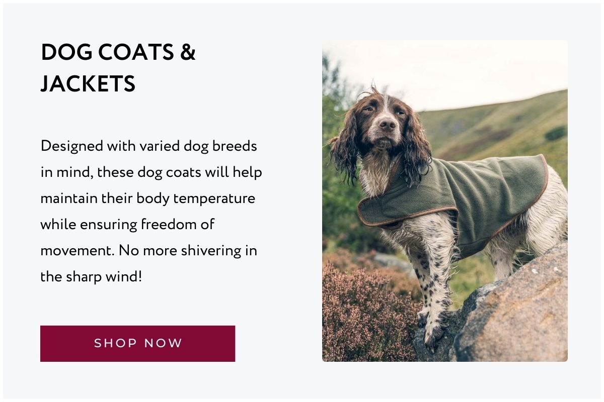 Dog Coats and Jackets