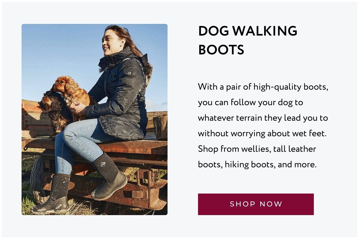 Dog Walking Boots