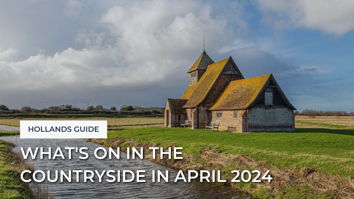 Hollands Guide - whats on in the countryside in April 2024