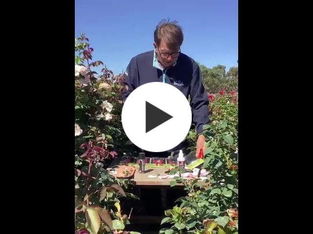 Brian Wagner talks about his love for FELCO Secateurs and shows our new range of FELCO products!