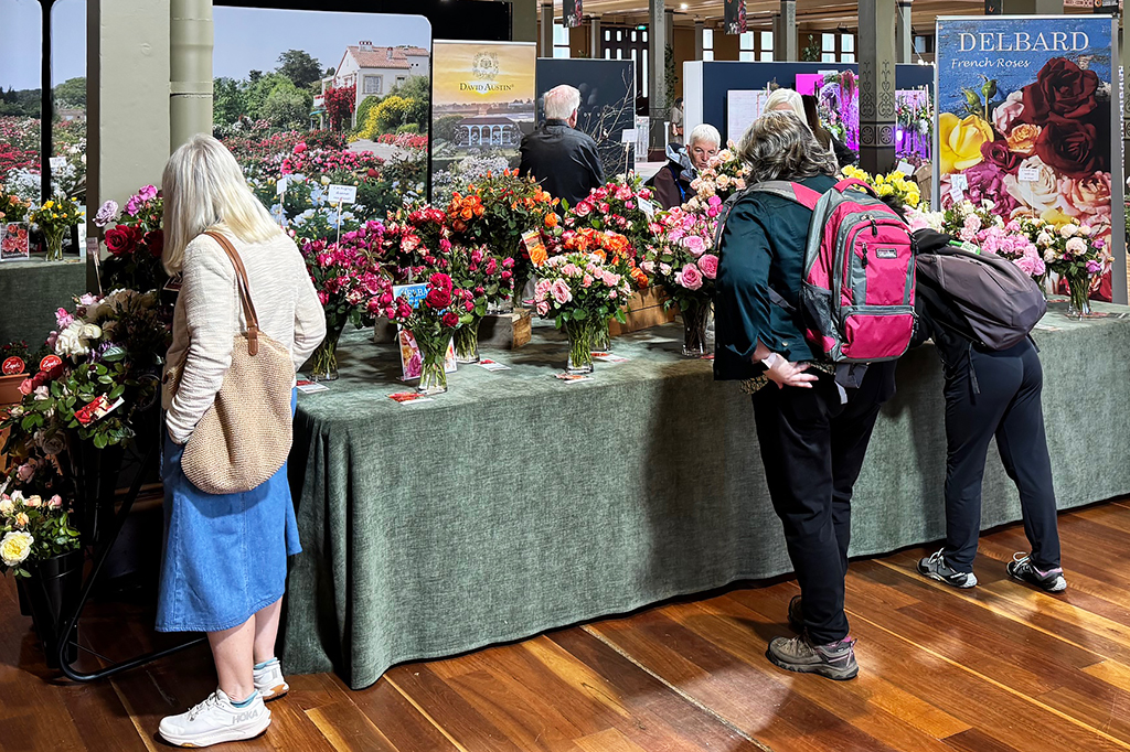 The Mill on the Floss