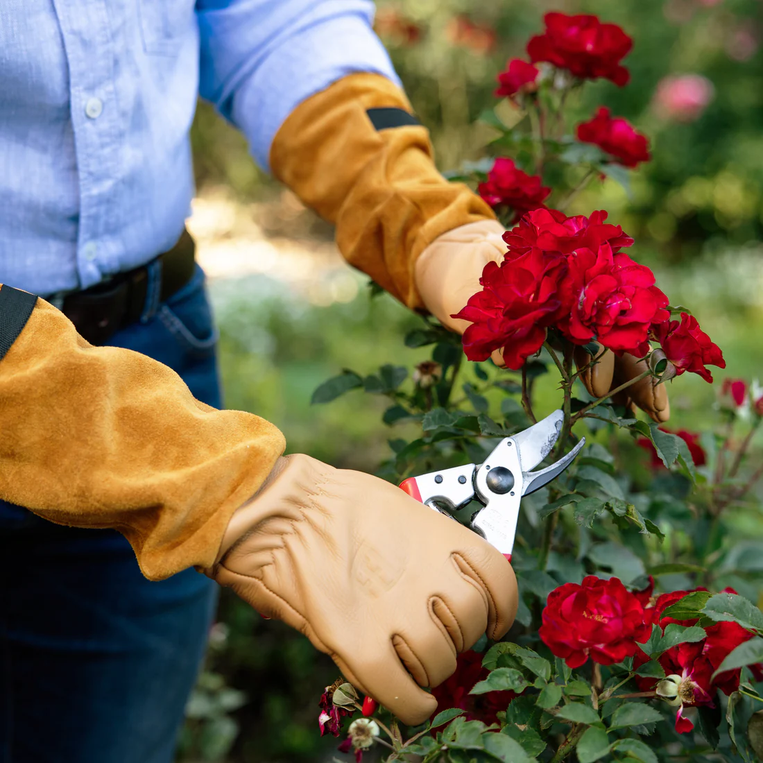 FELCO 705 Rose Gloves