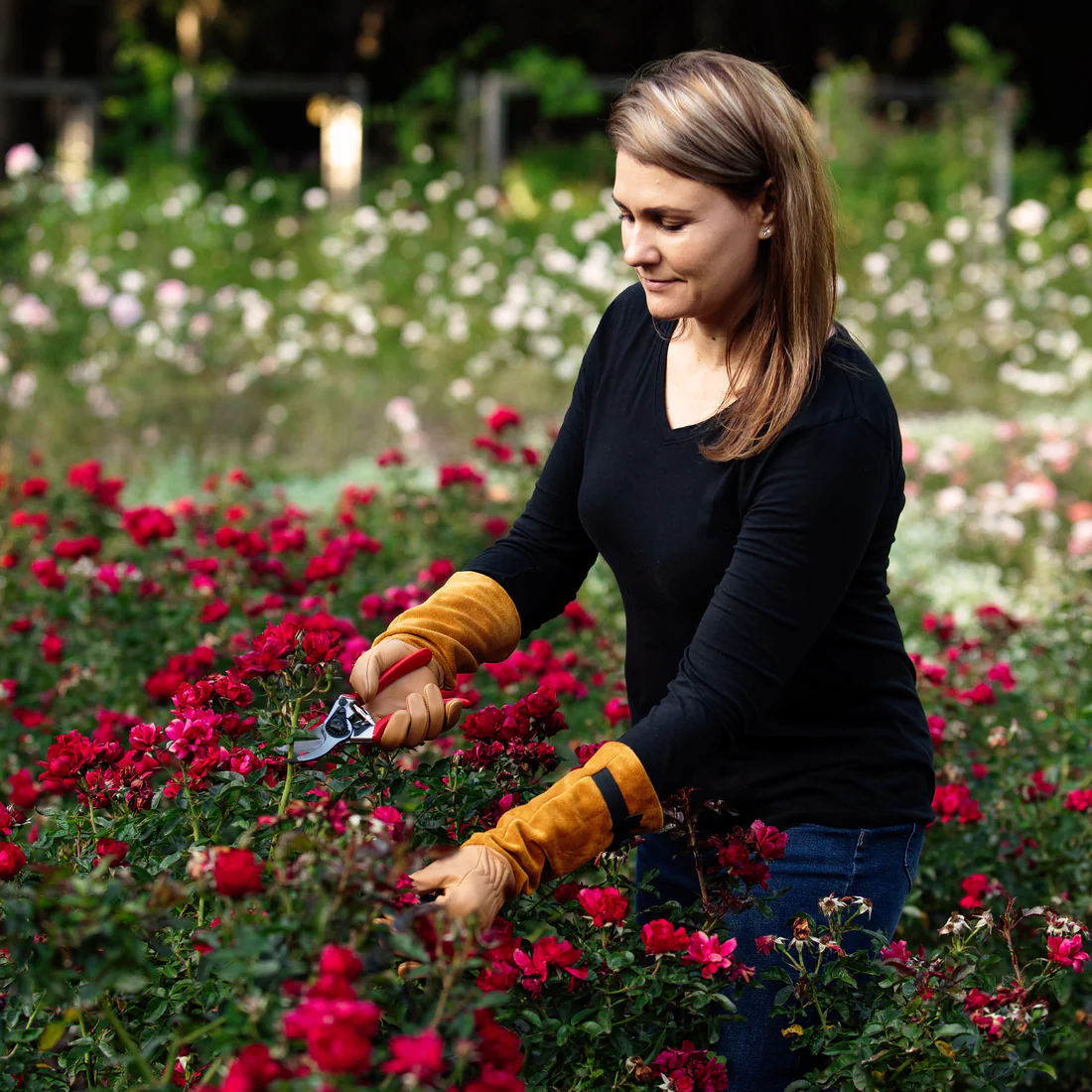 FELCO 705 Rose Gloves