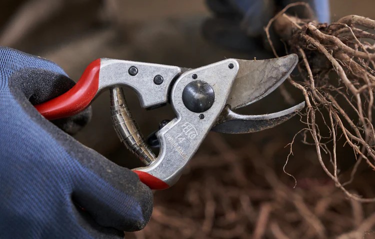 FELCO 14 Secateurs